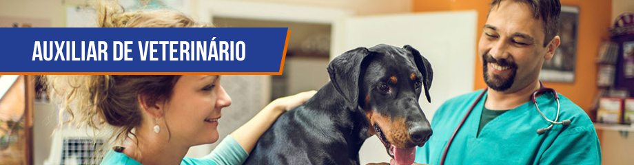 Auxiliar Veterinário